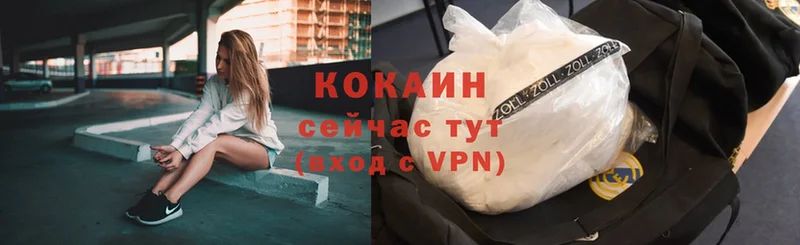 Купить наркотики Каргополь COCAIN  A PVP  MDMA  МЕФ  Бошки Шишки 